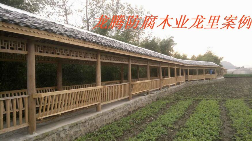 ����ľ����