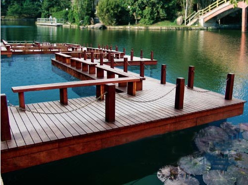 ����ľ����