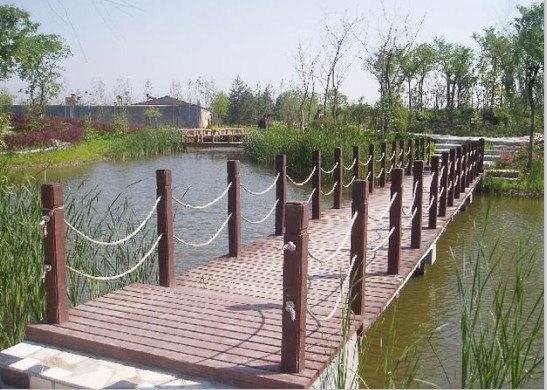 ����ľ����