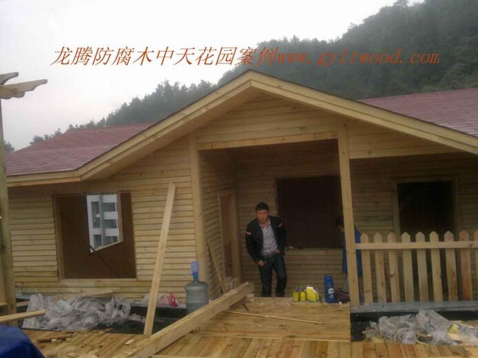 ����ľľ��