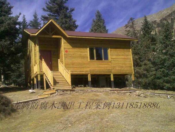 ����ľľ��