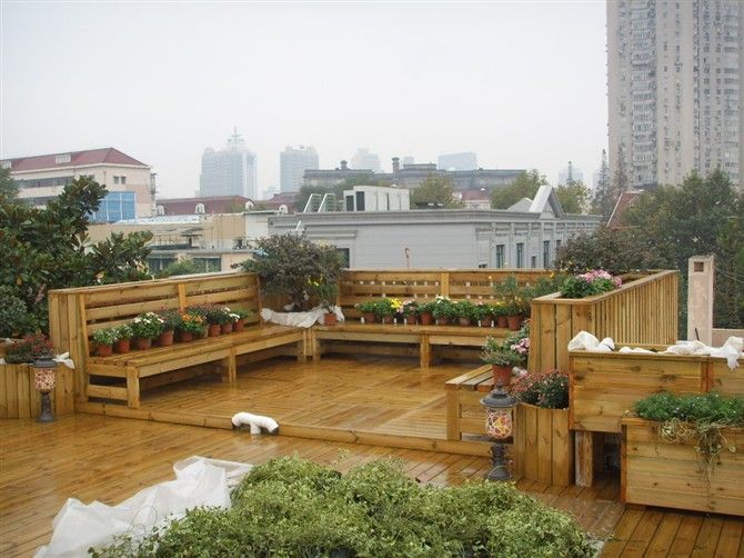 ����ľ����