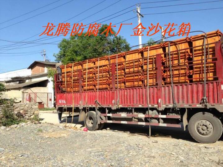 ����ľ����