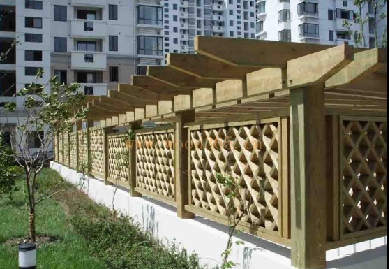 ����ľ����