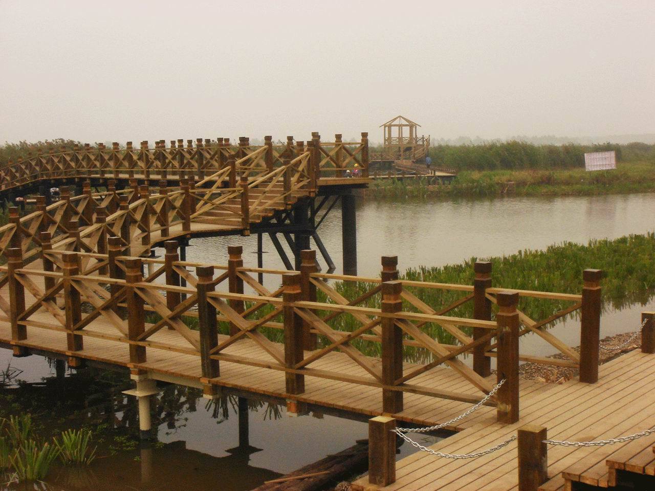 ����ľ����