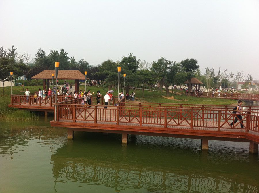 ����ľ����