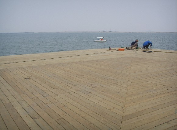 ����ľ�ذ�